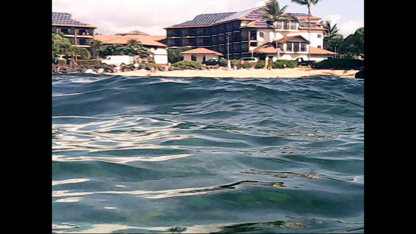 Day 4 snorkeling @ Beach House-